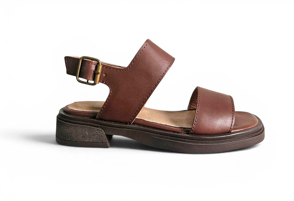 BASES y COMPONENTES